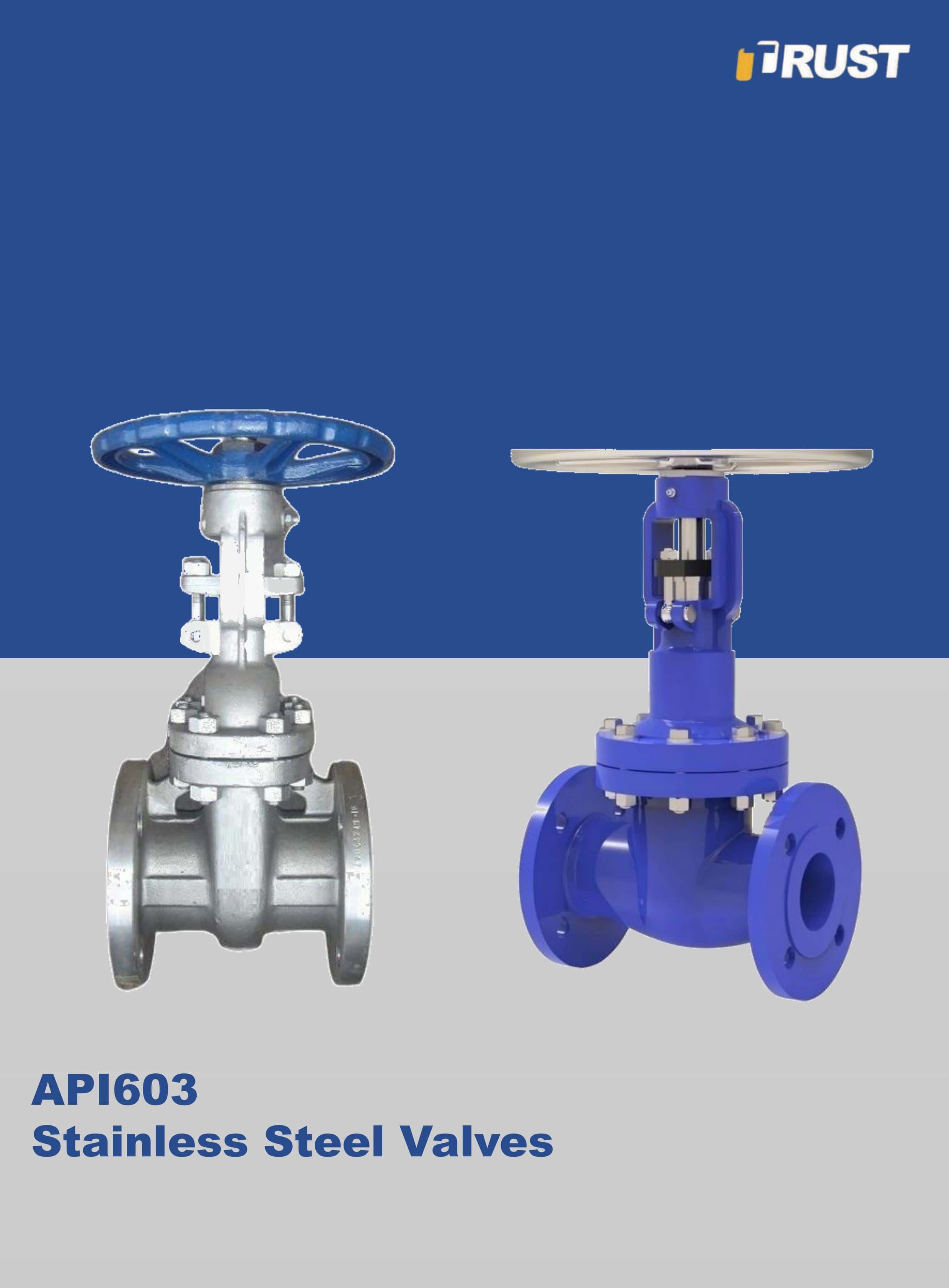 Vannes à Clapet En Acier Coulé