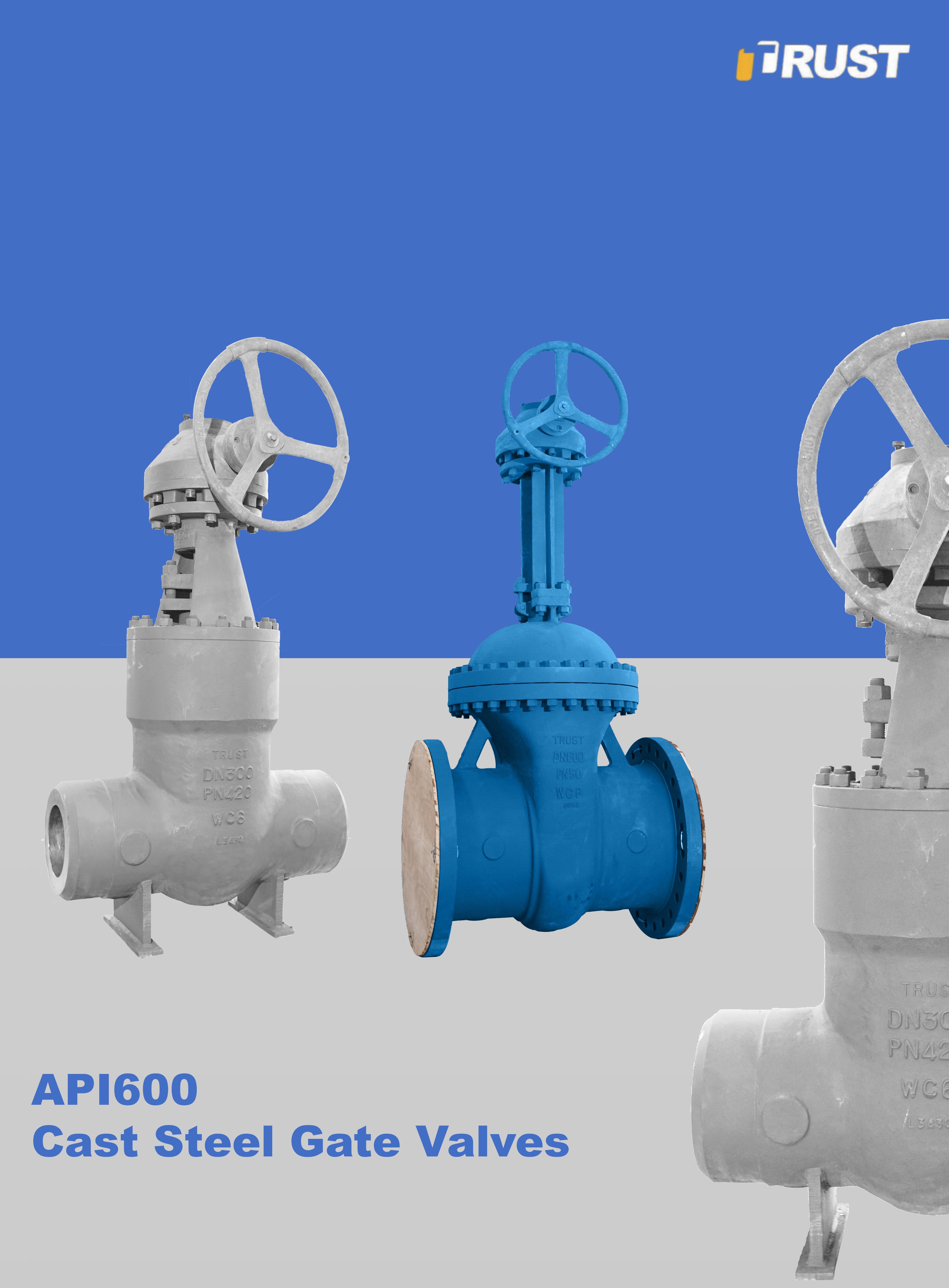 Vannes à Opercule En Acier Coulé