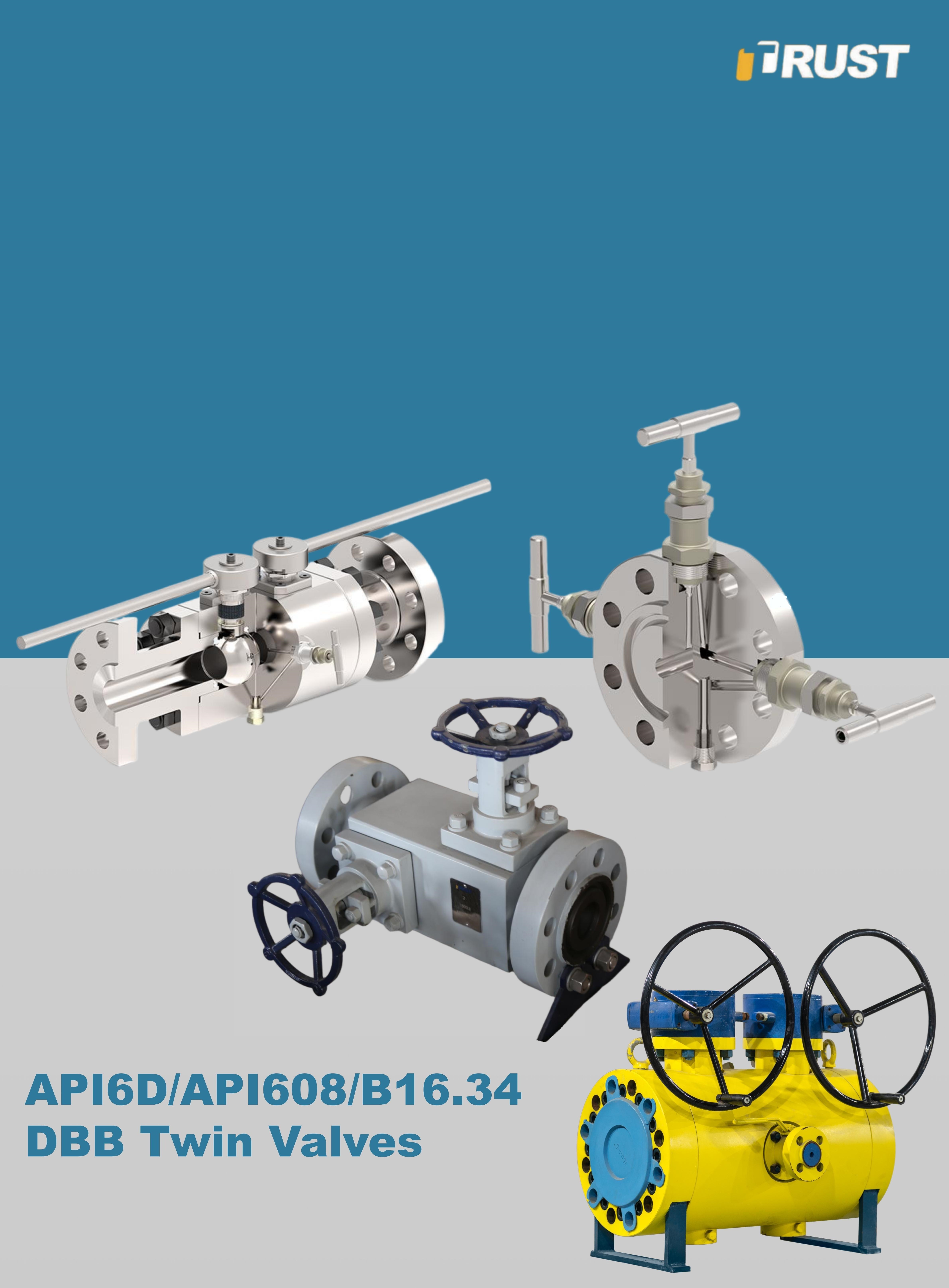 Vannes à Double Blocage et Purge (DBB)