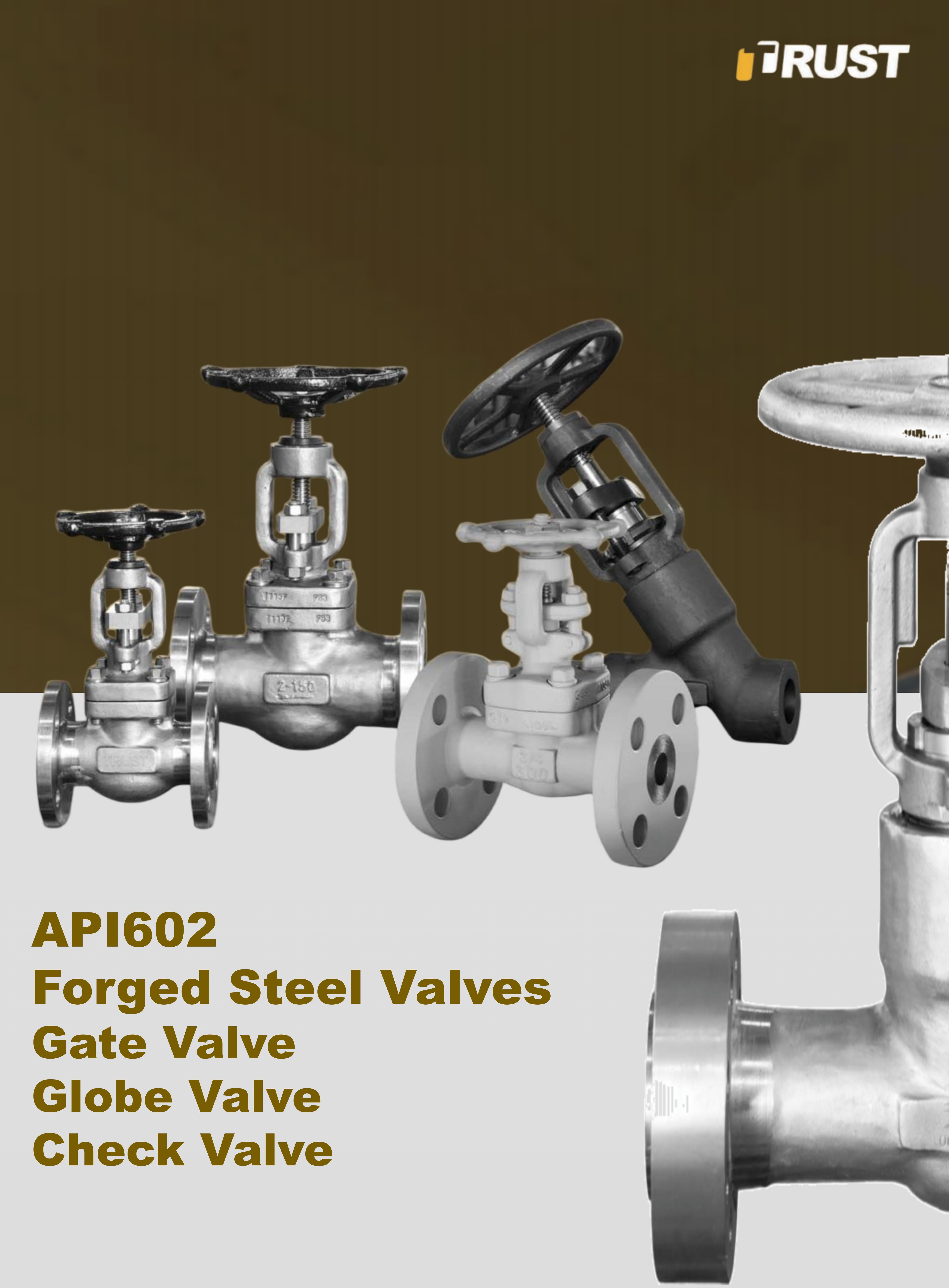 Vannes GGC en Acier Forgé